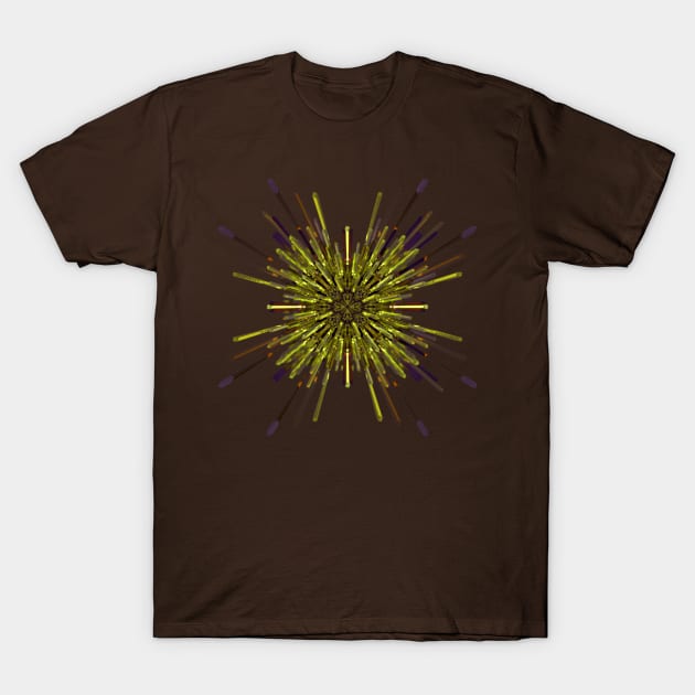 Holy Rays of Light T-Shirt by quasicrystals